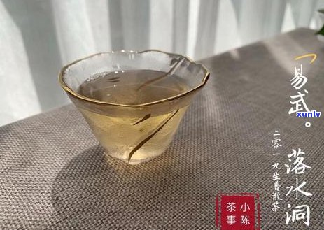 家里囤了一堆普洱茶