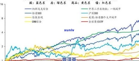 2009年大白菜和普洱茶的市场价格：一次全面的回顾与分析