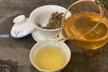 普洱茶大白菜分别什么年份的好喝？