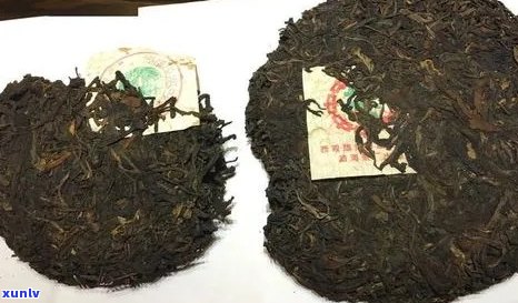 普洱茶红标与标：详解品质、产地、工艺及口感的差异