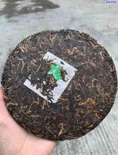 普洱茶的青饼怎么样