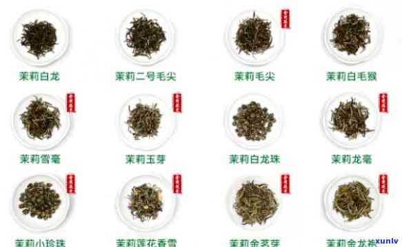 张一元茶叶礼盒：探索普洱茶的各种形态及价格