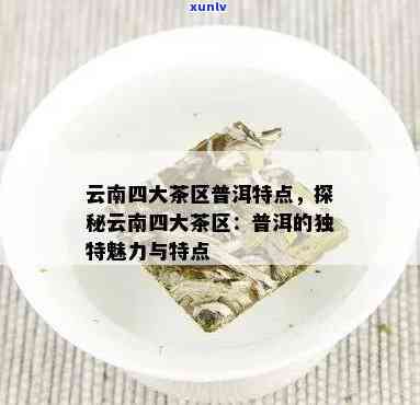 云南普洱茶四大产区：西双版纳、普洱、产地与大名的特色分析