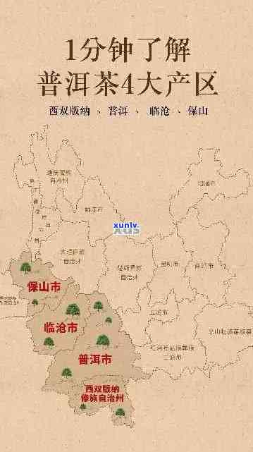 云南普洱茶四大产区：西双版纳、普洱、产地与大名的特色分析