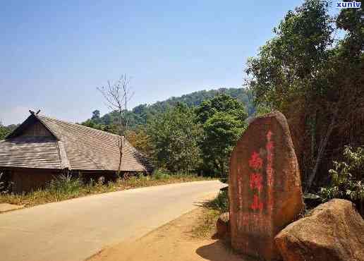 普洱茶南糯山多依寨