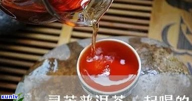 普洱茶和灵芝一起喝