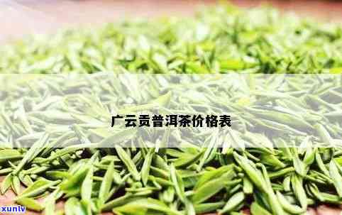 广云贡普洱茶：历、价格与种类一览