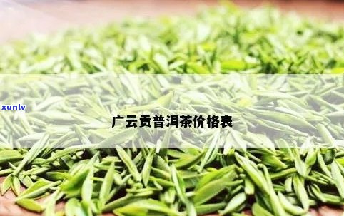 广云贡普洱茶：历、价格与种类一览