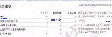 全面指南：如何查询信用卡逾期记录、处理 *** 与影响分析