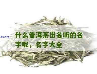 普洱茶名汇：精选好听的普洱茶名字大全