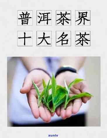 三个字的普洱茶名字