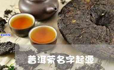 三个字的普洱茶名字