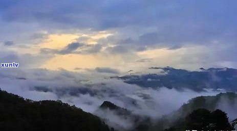 古诗精选：普洱茶的韵味与独特特点