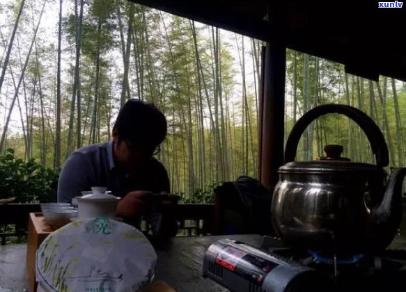 普洱茶美景诗意再现：品茗之余，尽享山水之间的韵味