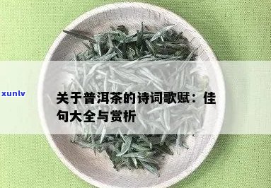 以下是一个可能的 n形容普洱茶诗句的唯美词语与经典之作