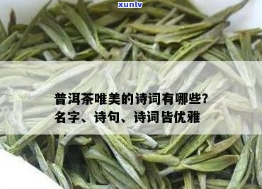 以下是一个可能的 n形容普洱茶诗句的唯美词语与经典之作