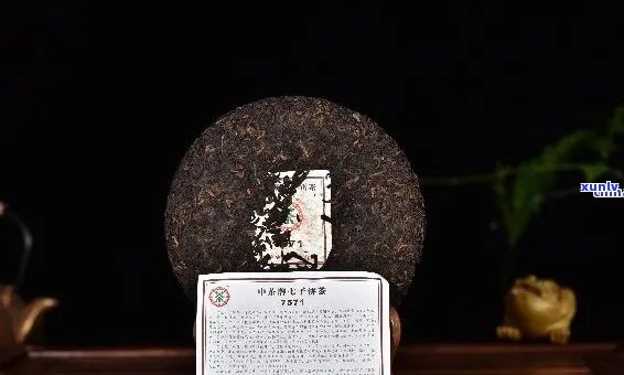 聘号普洱茶1912熟茶1000克价格：了解这款普洱茶的最新价格和品质。