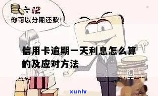 信用卡逾期利息什么算