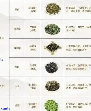 探索普洱茶的八大品种：中国茶叶的丰富多样性