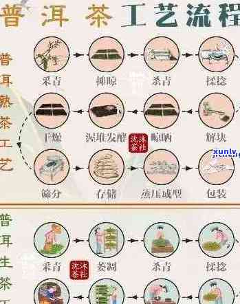 普洱茶的转化周期为几年：揭示普洱茶的魅力与变化过程