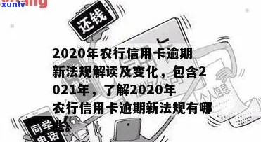 2021年农行信用卡逾期新规定：全面解读与分析