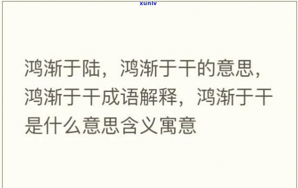 鸿的含义及其在不同语境下的用法：全面解析与解答