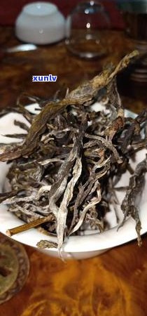 云南两大茶区：探寻古树普洱与现代精品茶的魅力