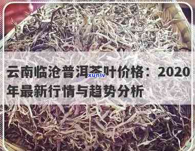 云南倚邦茶厂普洱茶价格分析及选购指南