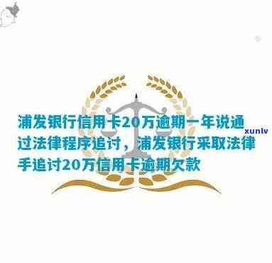 浦发银行信用卡逾期一年：20万欠款追讨的法律程序与可能后果详解