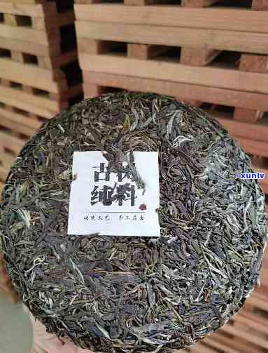 开古树普洱茶：口感特点与品鉴指南