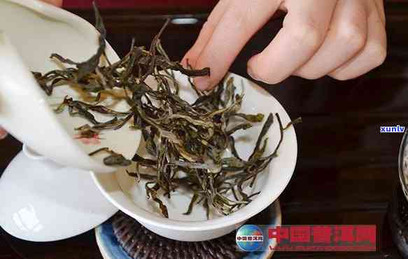 普洱茶泡法与用量全解析：如何科学控制茶叶的投放量以达到口感