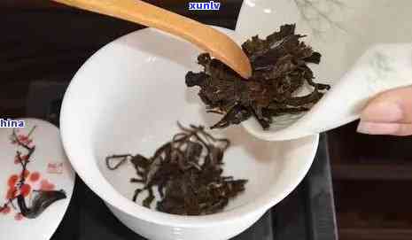 普洱茶泡法与用量全解析：如何科学控制茶叶的投放量以达到口感