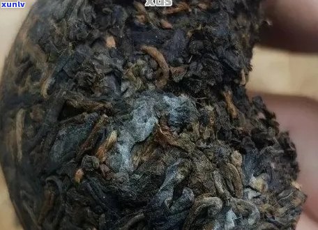 普洱茶表面长毛是否影响口感？如何处理？喝过有影响吗？