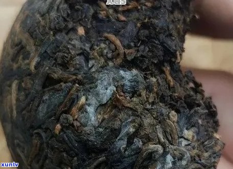 普洱茶表面长毛是否影响口感？如何处理？喝过有影响吗？