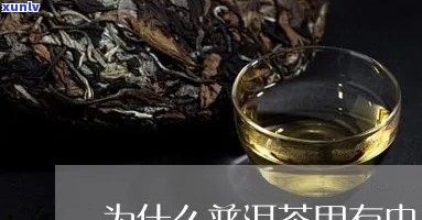 普洱茶为啥有毛毛？普洱茶水里为什么会有毛毛虫？探究普洱茶的奥秘。