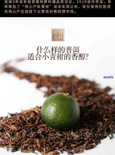 柑扬堂小青柑普洱茶