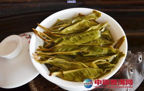 四对普洱茶风味的影响：了解自然因素如何塑造茶叶的口感与香气