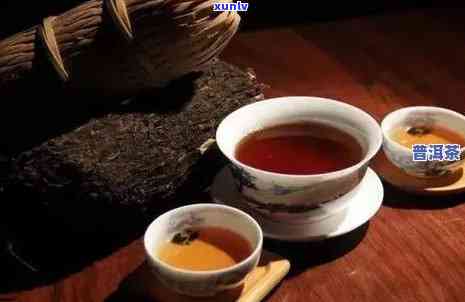 四川口碑好的普洱茶与种类推荐，如何选购优质普洱茶？