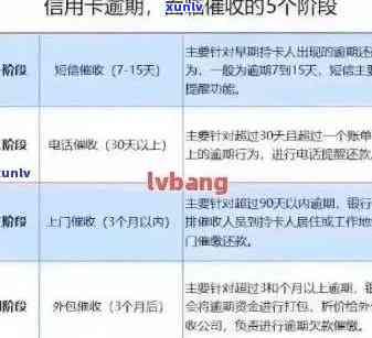 信用卡逾期漂白全攻略：如何应对逾期费用、信用记录影响与解决方案