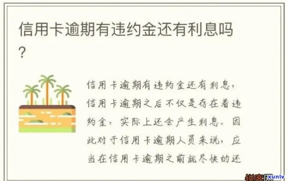 申请退信用卡逾期违约金 *** ：了解全部细节与步骤