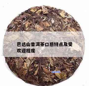 普洱茶巴达山怎么样