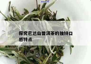 普洱茶巴达山怎么样