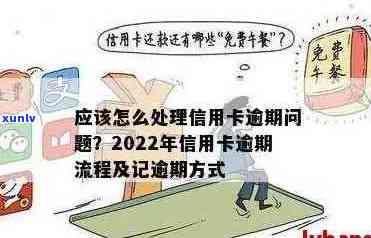 '2022年信用卡逾期流程：最新标准及政策解读'