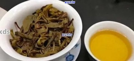 扫地僧般的普洱茶：品质、功效、冲泡与品鉴全方位解析