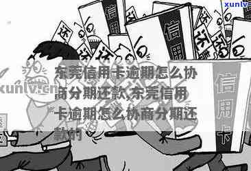 东莞市南城区内值得信的信用卡逾期公司推荐及查询指南