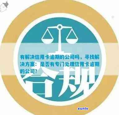 全方位解决信用卡逾期问题：专业银行服务公司提供个性化解决方案