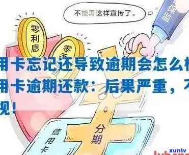 逾期信用卡还款：如何避免信用受损并及时处理后果