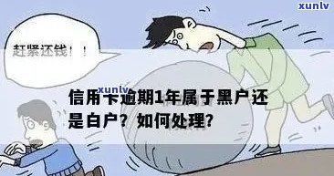 信用卡逾期：黑户还是白户？名单与信用问题解答