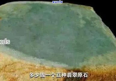 探究豆种翡翠原石之间的差异：何种因素影响其价值与美感？