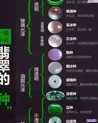 '豆种翡翠的结构、样子和颜色：一种独特的宝石'